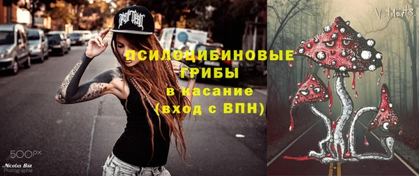 прущая мука Осташков